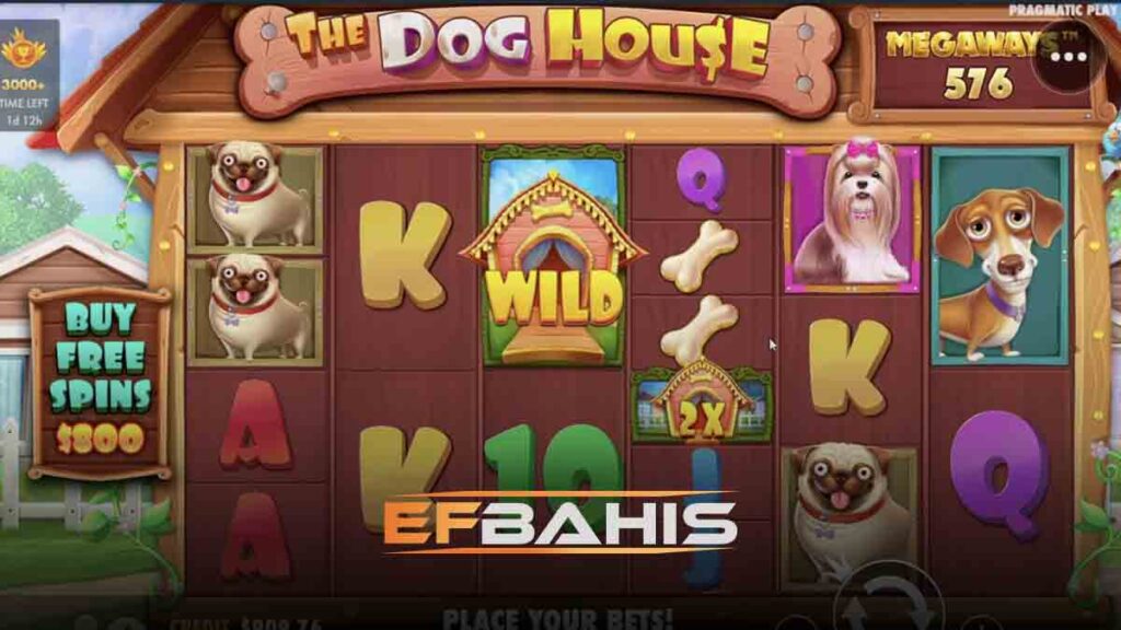 Efbahis the dog house