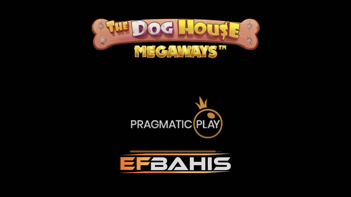 Efbahis the dog house